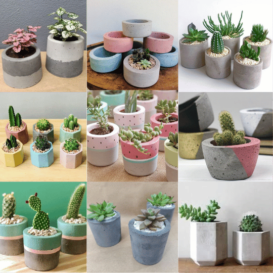 ANUNCIOS BOLITAS (27)