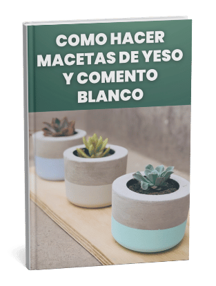 POS (80) (1)